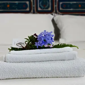Buon Consiglio Apartamento